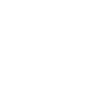 Wellness Plans